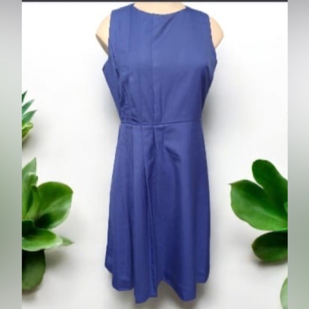 J. Crew Vibrant Blue Mini Dress with planks
